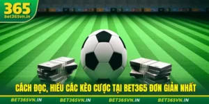 Cách đọc hiểu các loại kèo tại Bet365