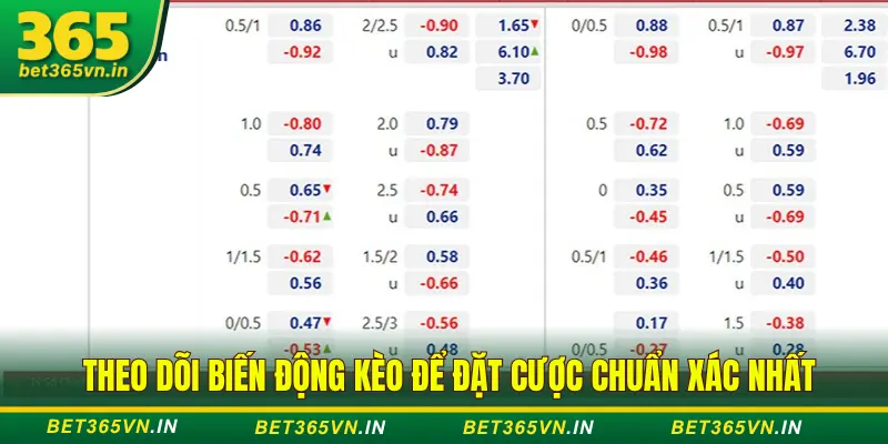 Cách Đọc, Hiểu Các Loại Kèo Cược Cơ Bản Tại Bet365 4 mẹo đọc kèo tại Bet365