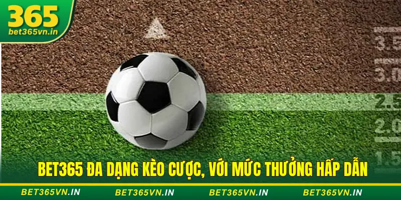 Cách Đọc, Hiểu Các Loại Kèo Cược Cơ Bản Tại Bet365 2 thể thao Bet365 đa dạng kèo cược