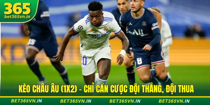 Cách Đọc, Hiểu Các Loại Kèo Cược Cơ Bản Tại Bet365 3 Kèo châu Âu đơn giản, hấp dẫn