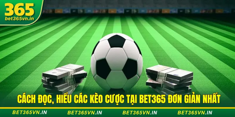 Cách Đọc, Hiểu Các Loại Kèo Cược Cơ Bản Tại Bet365 1 Cách đọc hiểu các loại kèo tại Bet365
