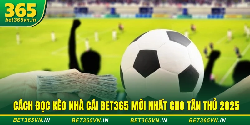 Cách Đọc Kèo Nhà Cái BET365 Mới Nhất Cho Tân Thủ 2025