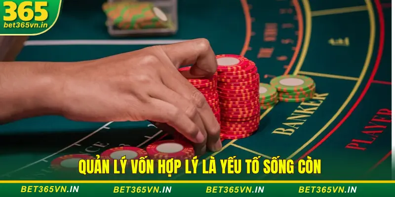 Quản lý vốn cược baccarat