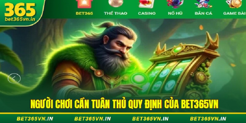 Người chơi cần tuân thủ quy định của Bet365
