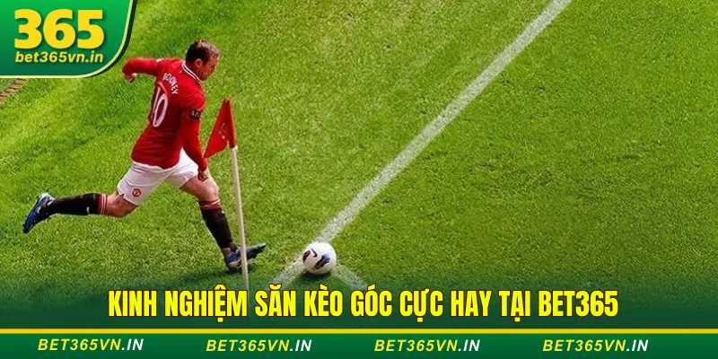 Kinh Nghiệm Săn Kèo Góc, Kèo Thẻ Cực Chuẩn Tại Bet365 1 Kinh nghiệm săn kèo góc, kèo thẻ