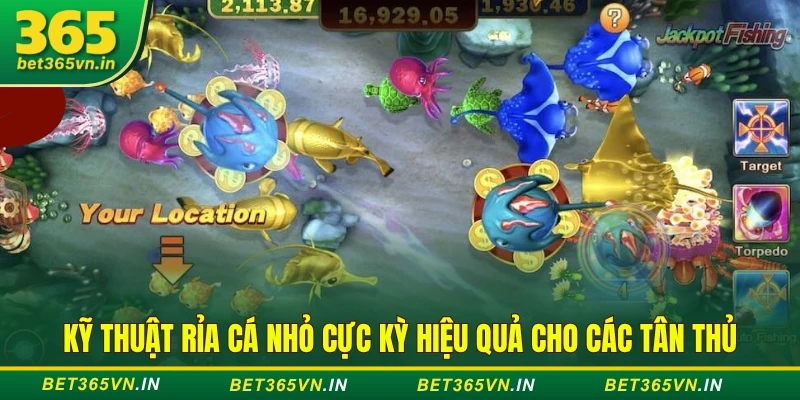 Kỹ thuật rỉa cá nhỏ hiệu quả