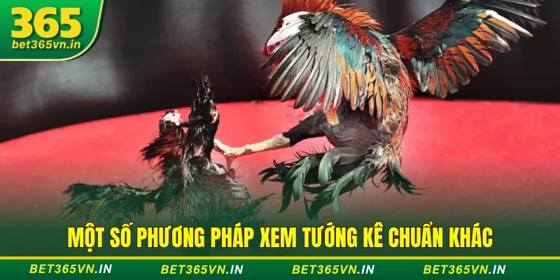 Một số phương pháp xem tướng kê chuẩn khác