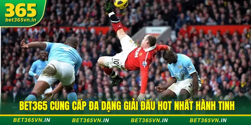 Đa dạng giải đấu