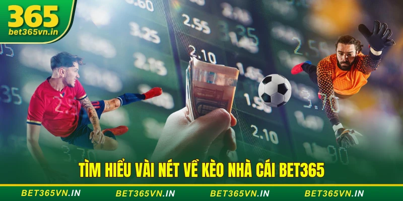  về kèo nhà cái BET365