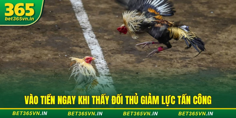 Vào tiền ngay khi thấy đối thủ giảm lực tấn công